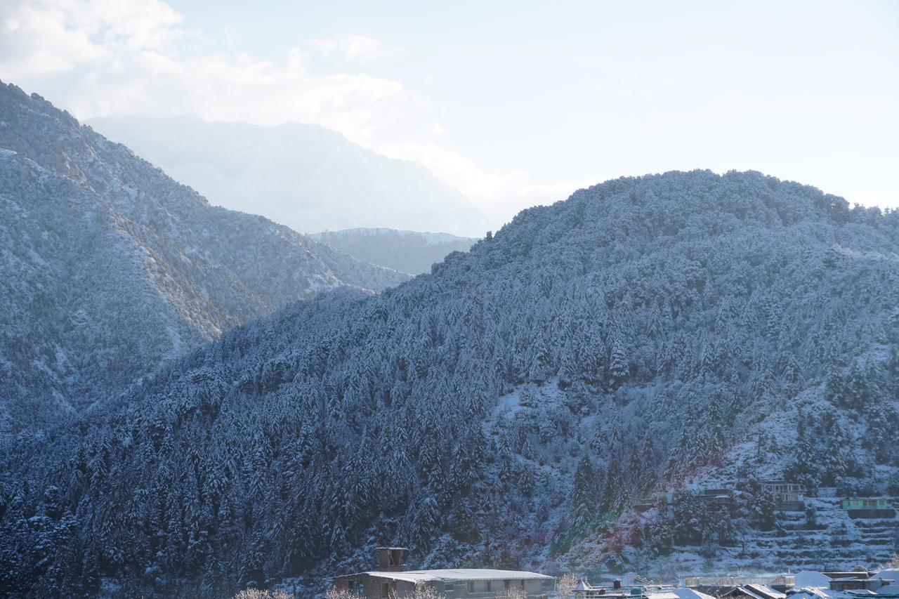 Ess & Bee Resorts Dharamshala Eksteriør bilde